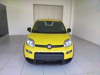 Usata Fiat Panda S 69 CV (50 kW) 2024 Blu Utilitaria