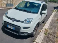 Usata Fiat Panda 4x4 S 75 CV (55 kW) 2014 Bianco Utilitaria