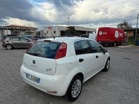 Usata Fiat Punto 75 CV (55 kW) 2015 Utilitaria