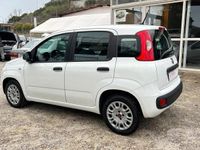 usata Fiat Panda 1.2 Benz 69cv