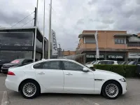 Usata Jaguar XF Pure 250 CV (183 kW) 2019 Bianco Berlina