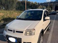 Usata Fiat Panda 4x4 75 CV (55 kW) 2011 Bianco Utilitaria