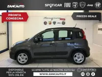 Usata Fiat Panda S 70 CV (51 kW) 2023 Grigio Utilitaria