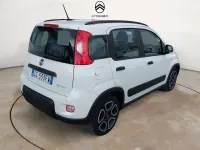 Usata Fiat Panda City Life 69 CV (50 kW) 2021 Bianco Utilitaria