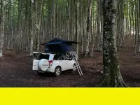 Usata Suzuki Vitara 129 CV (94 kW) 2010 Other Station wagon