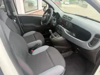 Usata Fiat Panda 4x4 S 86 CV (63 kW) 2020 Bianco Utilitaria