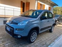 Usata Fiat Panda 4x4 S 85 CV (62 kW) 2018 Utilitaria