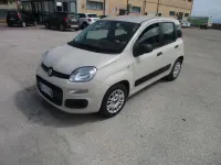 Usata Fiat Panda Easy 75 CV (55 kW) 2014 Beige Utilitaria