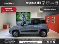 Usata Fiat Panda Lounge 70 CV (51 kW) 2019 Grigio Utilitaria