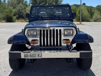 Usata Jeep Wrangler Limited 184 CV (135 kW) 1994 Blu/azzurro SUV