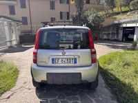 Usata Fiat Panda 4x4 69 CV (50 kW) 2010 Argento Utilitaria