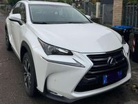 Usata Lexus NX300h Executive Line 155 CV (114 kW) 2017 Bianco SUV