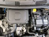 Nuova Fiat Panda Icon 69 CV (50 kW) 2025 Bianco Utilitaria