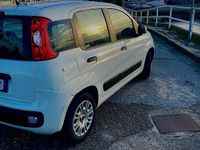 Usata Fiat Panda Easy 95 CV (69 kW) 2017 Bianco Utilitaria