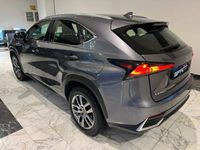 usata Lexus NX300 HYBRID 4WD BUSINESS 155CV