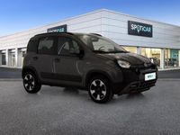 usata Fiat Panda Cross 1.0 FireFly 70cv S&S Hybrid