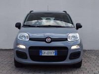 Usata Fiat Panda City Life 69 CV (50 kW) 2022 Grigio Utilitaria