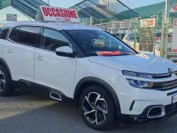 Usata Citroën C5 Business Class 131 CV (96 kW) 2020 Bianco Berlina