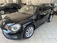 usata VW Maggiolino Cabrio 1.6 tdi Design 105cv