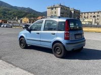 Usata Fiat Panda Dynamic 60 CV (44 kW) 2009 Utilitaria