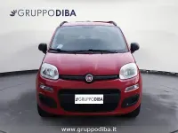 Usata Fiat Panda Lounge 80 CV (58 kW) 2013 Rosso Utilitaria