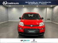 usata Fiat Panda Cross 1.0 FireFly S&S Hybrid City