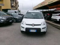 Usata Fiat Panda Cross Cross 69 CV (50 kW) 2021 Bianco Utilitaria