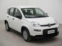 usata Fiat Panda 1.0 70cv hybrid