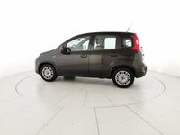 usata Fiat Panda 1.0 firefly hybrid s&s 70cv