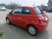 Usata Fiat 500 Pop 69 CV (50 kW) 2023 Rosso Utilitaria