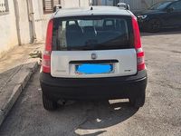 Usata Fiat Panda 2009 Bianco Utilitaria