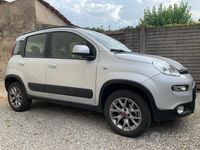 Usata Fiat Panda 4x4 S 85 CV (62 kW) 2017 Grigio Utilitaria