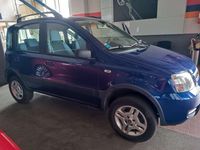 Usata Fiat Panda 4x4 Climbing 69 CV (50 kW) 2007 Blu/azzurro Utilitaria