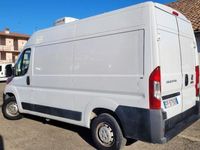 usata Fiat Ducato 33 2.3 MJT 130CV PM-TM Furgone Frigo FRCX -20°