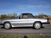 usata Alfa Romeo Spider duetto ? verde