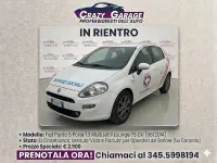 Usata Fiat Punto Lounge 75 CV (55 kW) 2014 Bianco Utilitaria