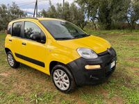 Usata Fiat Panda 4x4 S 95 CV (69 kW) 2014 Giallo Utilitaria