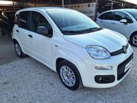 usata Fiat Panda Panda1.3 mjt EURO 6D PRONTA CONSEGNA PREZZO VERO