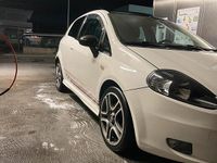 Usata Fiat Punto 90 CV (66 kW) 2009 Bianco Utilitaria