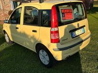 Usata Fiat Panda 54 CV (39 kW) 2008 Giallo Utilitaria