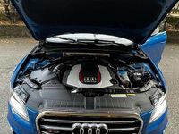 Usata Audi SQ5 Business 313 CV (230 kW) 2013 Blu/azzurro SUV