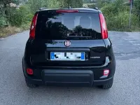 Usata Fiat Panda City Life 69 CV (50 kW) 2023 Utilitaria