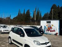 Usata Fiat Panda 75 CV (55 kW) 2013 Bianco Utilitaria