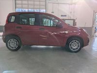 Nuova Fiat Panda Icon 69 CV (50 kW) 2025 Rosso Utilitaria