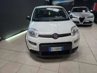 Usata Fiat Panda S 70 CV (51 kW) 2022 Bianco Utilitaria
