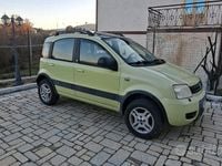 Usata Fiat Panda 4x4 Climbing 60 CV (44 kW) 2005 Verde Utilitaria