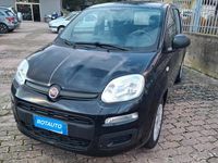 Usata Fiat Panda Easy 69 CV (50 kW) 2020 Nero Utilitaria