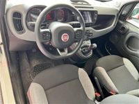 usata Fiat Panda Cross 1.0 FireFly S&S Hybrid City usato