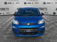 Usata Fiat Panda S 69 CV (50 kW) 2024 Blu/azzurro Utilitaria