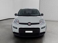 Usata Fiat Panda S 70 CV (51 kW) 2023 Bianco Utilitaria